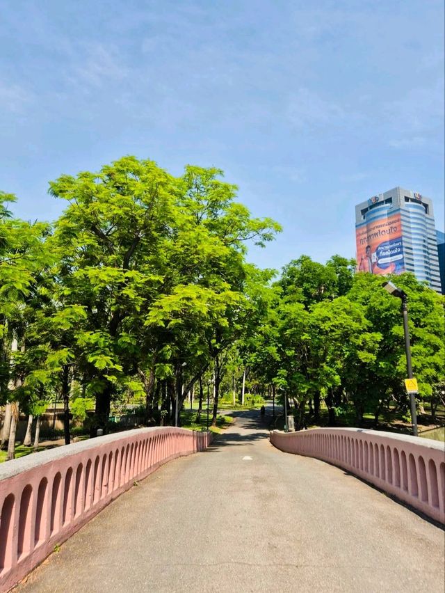 🌳 : Chatuchak Park สวนจตุจักร กรุงเทพมหานคร