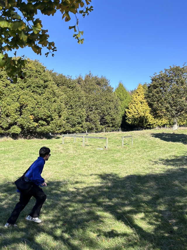 🌿奧克蘭小眾靜景｜One Tree Hill 一樹山｜在城市中心，遇見整個紐西蘭的靈魂