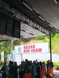 Bazar Kea Farm Cameron HighLand