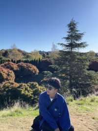🌲陶波秘境公園｜Centennial Park 小眾森林系散步地，超出片還沒人