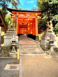 A Quiet Path Through Fushimi Inari Taisha