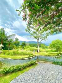BU-CO-LIC khao yai