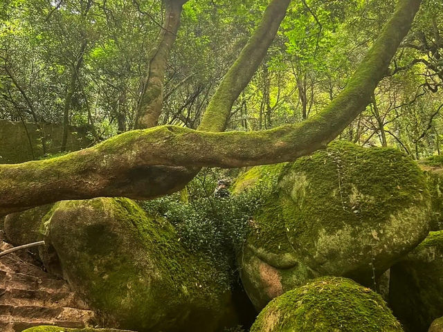 Unlock the Secrets of Sintra – Exploring Quinta da Regaleira