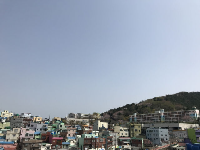 🎨 Gamcheon Culture Village – หมู่บ้านสีพาสเทล