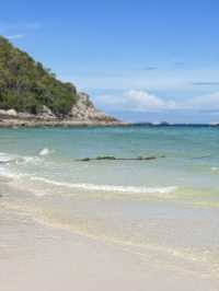 หาดเทียนเกาะล้านที่ไม่ควรพลาด น้องห่านน่ารัก