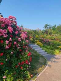 ～西埔公園～繁花織就～