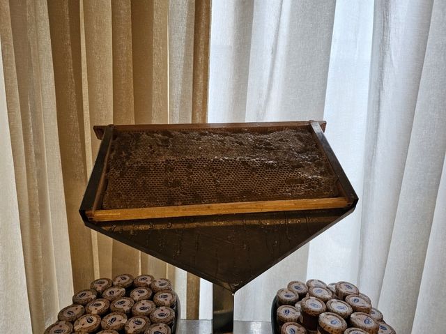 🥐 피라미드 아래에서 즐기는 아침 – 메냐 하우스 조식&뷰 체험기 🇪🇬