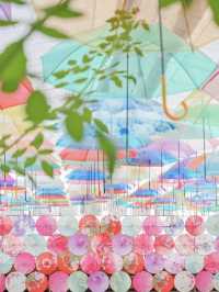 まるで万華鏡！福島の期間限定映えスポット！