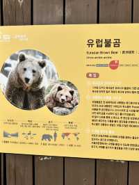 首爾動物園怎麼玩？韓國親子旅遊神景點🎠