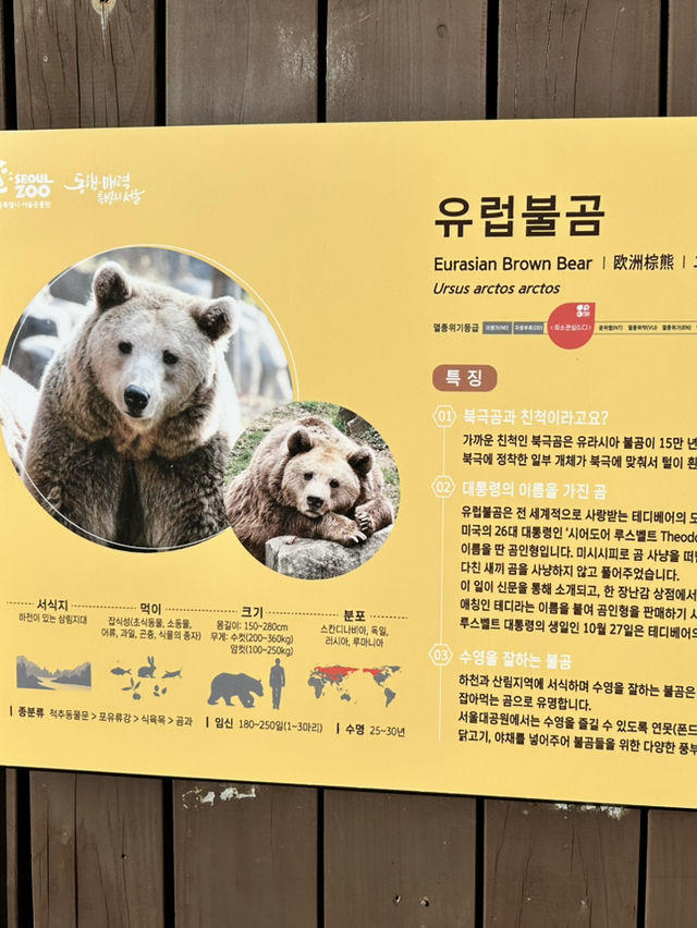 首爾動物園怎麼玩？韓國親子旅遊神景點🎠