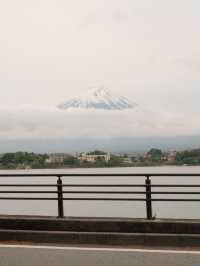 A Glimpse of Fuji, A Flood of Emotion