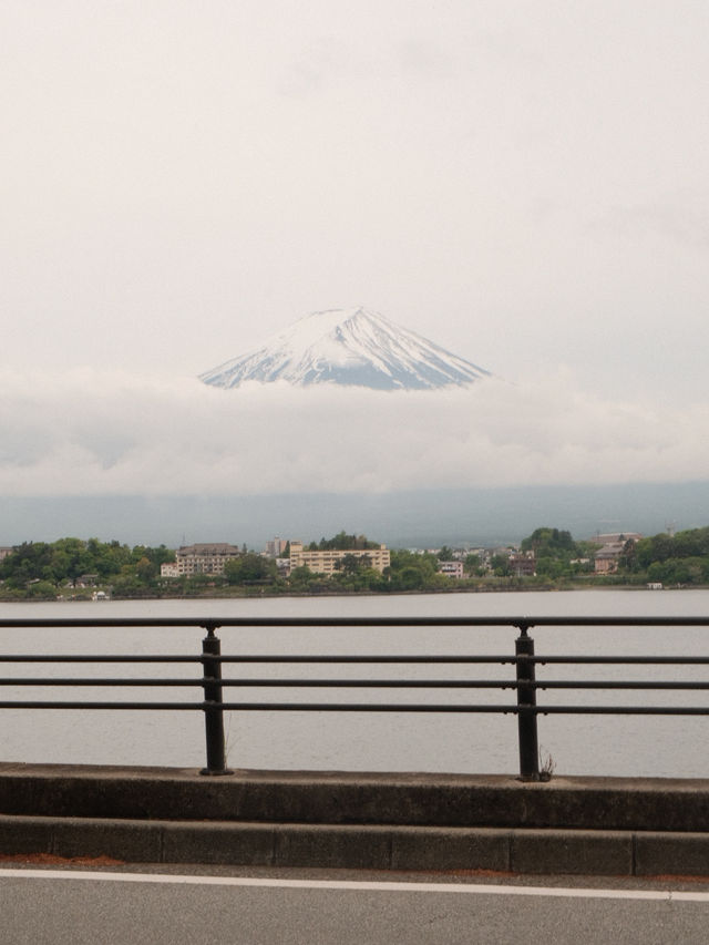 A Glimpse of Fuji, A Flood of Emotion