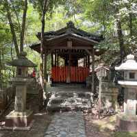 ⛩🍃 Uji Shrine – A Hidden Gem Where Time Whispers