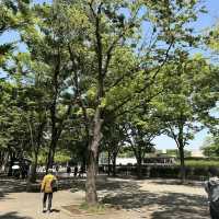 【東京/代々木🇯🇵】都会でリラックスするなら😌代々木公園