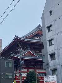 Nagoya is not boring!