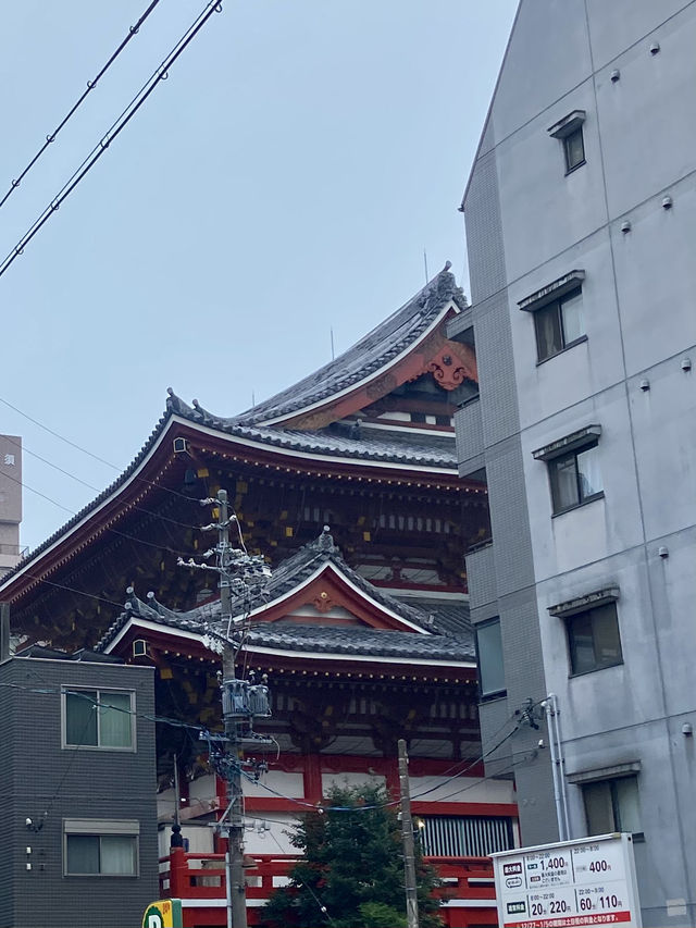 Nagoya is not boring!