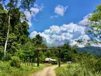 A Village Between the Trees: Living Local in Sungai Lembing
