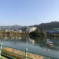 [대구 수성못공원] 백조 오리배 타고 힐링 산책, 잔잔한 호수