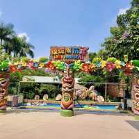Dive into the Dream: Chimelong’s Water Spectacle 💧🎠
