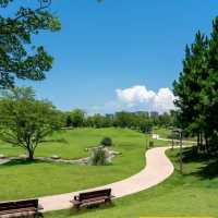 白鷺洲公園•綠意天地