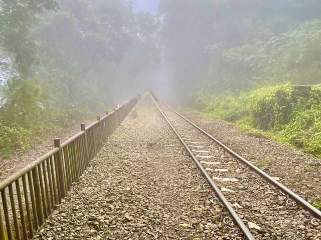 雲嘉連峰縱走巡禮～看茶園賞雲海及鐵道