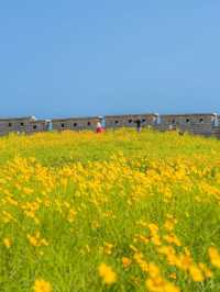 🌿 Secret Seoul Escape – A Hidden Romantic Park Near Dongdaemun 🇰🇷