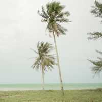 นครศรีธรรมราชฤดูฝน