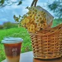 Donghouse Khaoyai