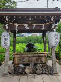 From Pandas to Petals: The Wonders of Ueno Park