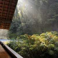 A Forest Hideaway Above the Highlands – My Visit to Pineyard Café, Genting