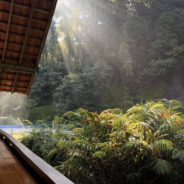 A Forest Hideaway Above the Highlands – My Visit to Pineyard Café, Genting