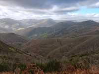 Secret Forest Vibes in Galicia
