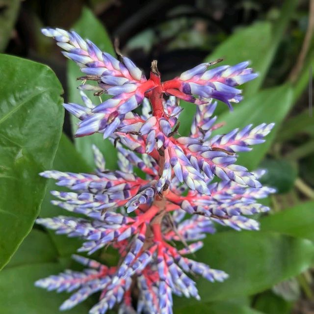 Dallas World Aquarium