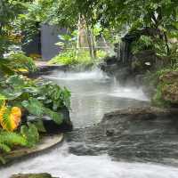 🌳☕ TopTen Forest – คาเฟ่ในสวนเขียวกลางอ่างทอง 