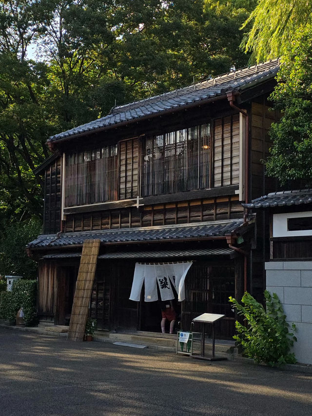 Tokyo 🍣🍱