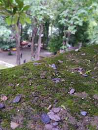 วัดอุโมงค์ (Wat Umong)