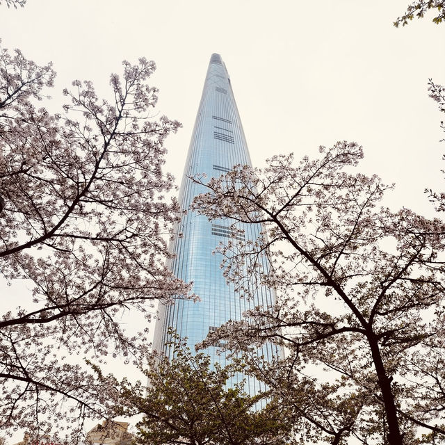 Solo Serenity at Seokchon Lake: Seoul’s Cherry Blossom Paradise** 🌸🚶♀️   