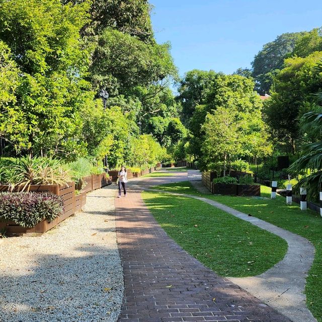 Plants and Park 