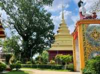 วัดสว่างบรรเทิง แม่ริม 🙏