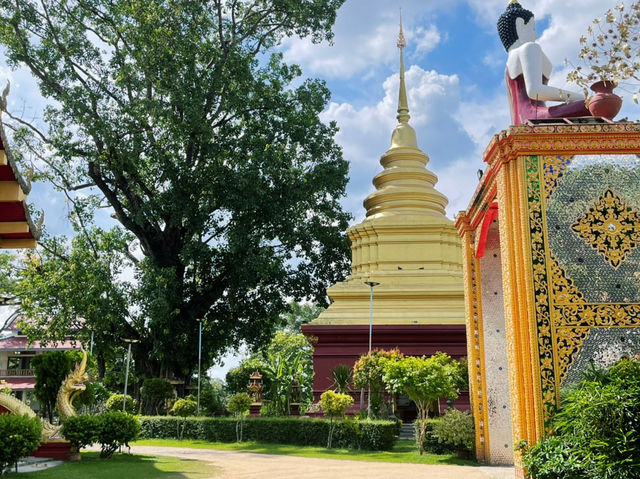 วัดสว่างบรรเทิง แม่ริม 🙏