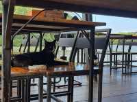 🏞️🌿 โกเล็ก ริเวอร์ไซด์ – ร้านอาหารริมน้ำสุดชิลล์