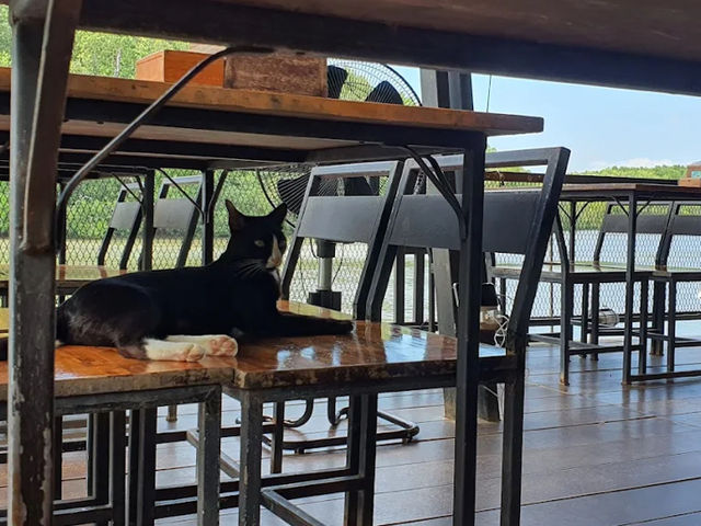 🏞️🌿 โกเล็ก ริเวอร์ไซด์ – ร้านอาหารริมน้ำสุดชิลล์