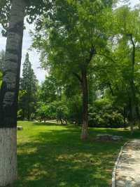 Nankai Park🌳🦋