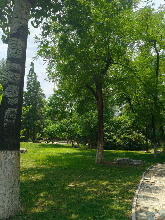 Nankai Park🌳🦋