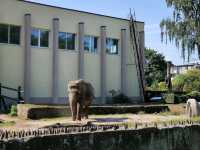 Kaliningrad Zoo