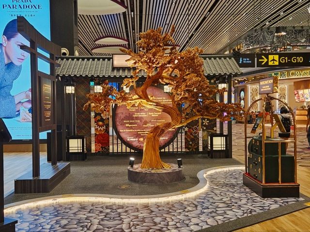 I visited the best airport in the world, Changi Airport