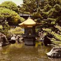 Tokyo Daibutsu: The Capital's Hidden Giant Buddha – A Solo Traveler's Serene Escape"** 🏯🙏