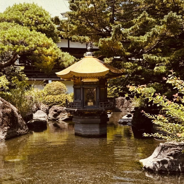 Tokyo Daibutsu: The Capital's Hidden Giant Buddha – A Solo Traveler's Serene Escape"** 🏯🙏