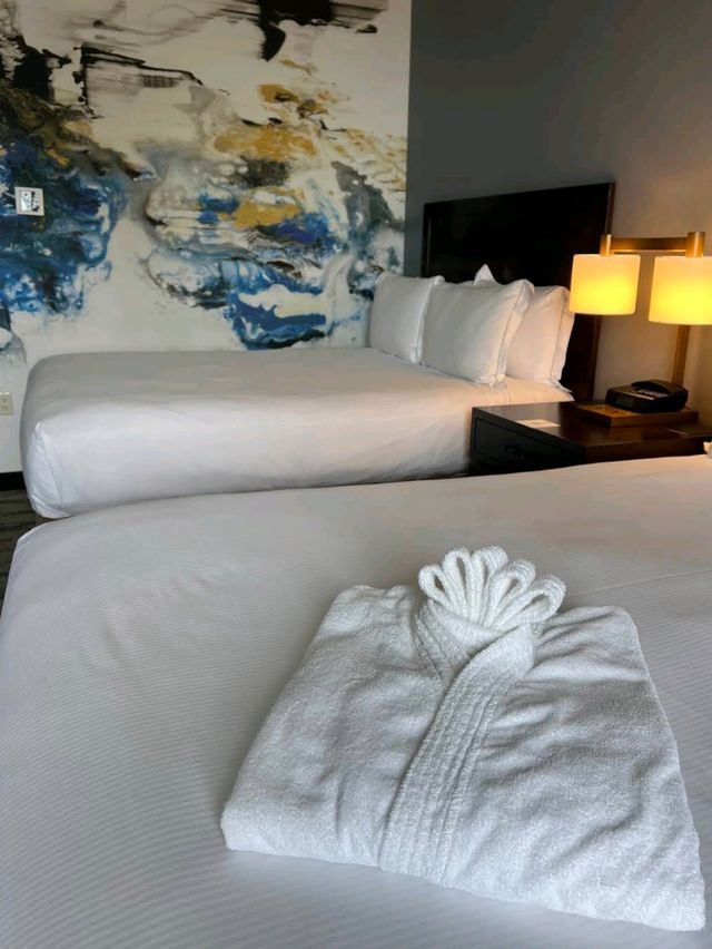 Hilton Americas-Houston