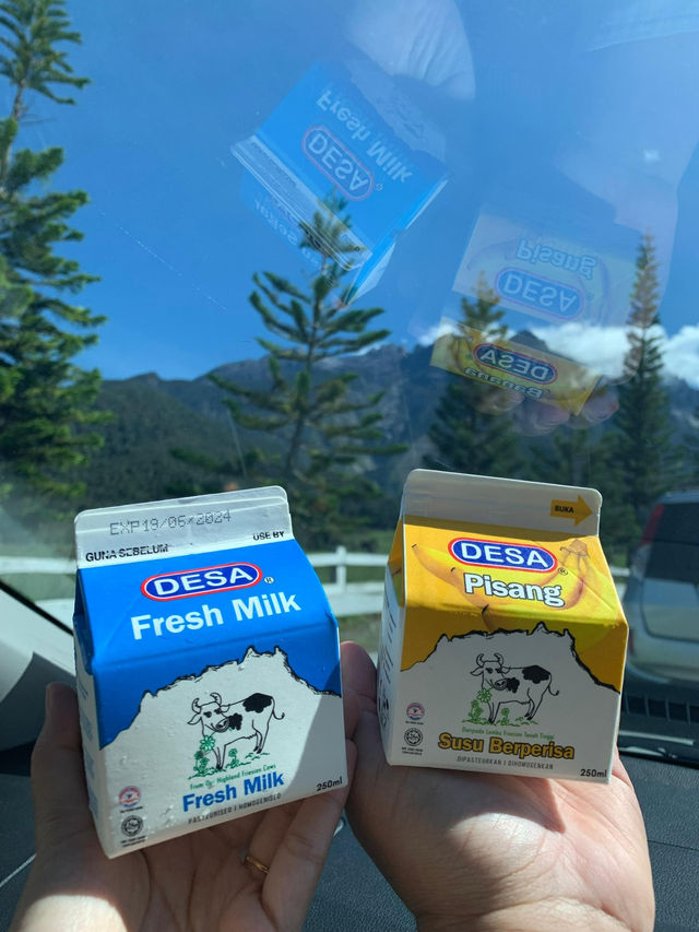 3 Things You Must Do at Desa Dairy Farm